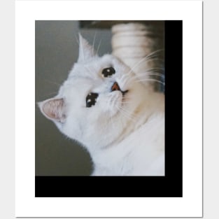 Sad Cat Crying Cat Cute Meme Posters and Art